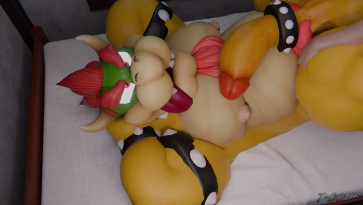 bowser – koopa – mario (series) – nintendo – t-bone589